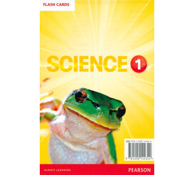 Big Science. Level 4. Flashcards