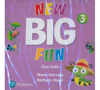 CD-ROM. New Big Fun. Level 3. Class Audio