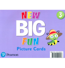 New Big Fun 3. Picture Cards