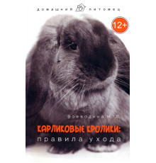 Карликовые кролики. Правила ухода