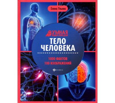 Тело человека: энциклопедия