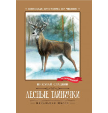Лесные тайнички